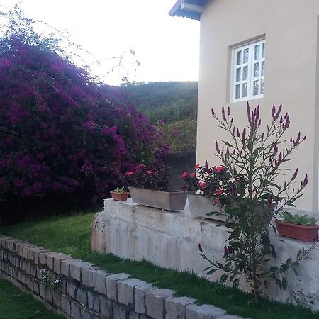Refugio Na Serra Bananeiras Ngoại thất bức ảnh